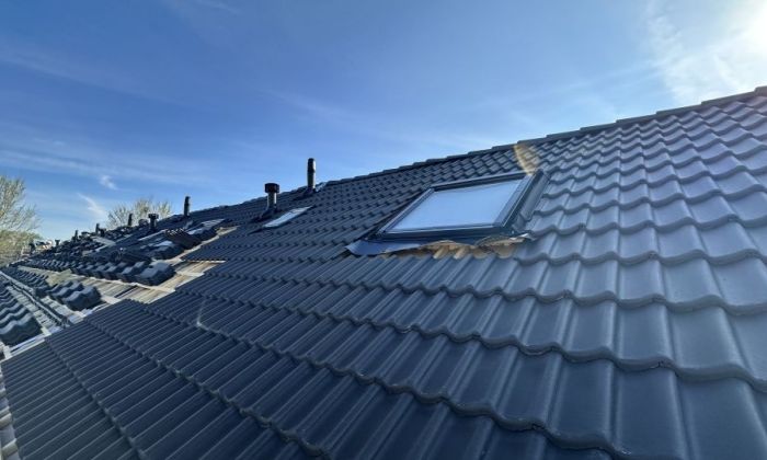 Daglicht als bouwsteen voor de toekomst